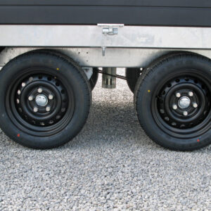 Saris K1 276 150 2000 2 Black Edition, doppelwirkende Handpumpe – Bild 4